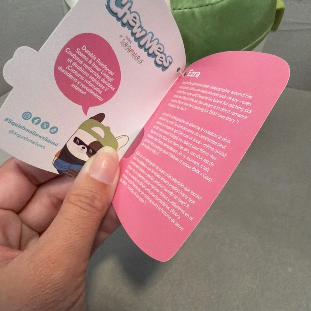NEW ChewMees by Squishmallows Ezra ChewMees The French Bulldog Dog Toy